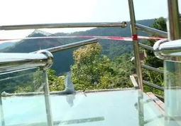 网红玻璃栏杆,透明视界，安全与美观的完美融合